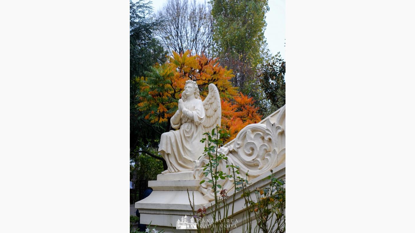 fotocredit Mănăstirea Radu Vodă