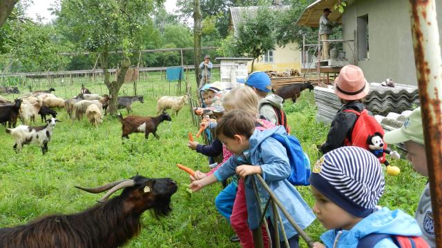 Copii De La Grădiniţa Sweet Dreams Kindergarten Bacău In Vizită