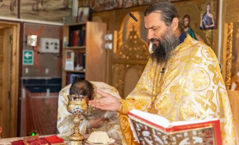 P Cuv Arhim Pimen Costea Arhiepiscopia Romanului Si Bacaului